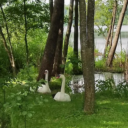 公寓 Bolek Lolek *